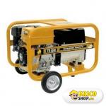 Generator Benza Trifazat TR 4300 > Generatoare de uz general