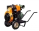 Motopompa Antor 4LD 820 LS-4