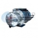 Pompa de gradina POMPA STANDARD 81 INOX 