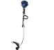 Motocoasa Einhell BG-PT 3041 