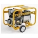 Generator Benza Trifazat TRDS 6600