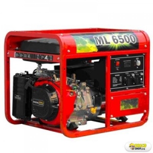 6500 ML > Generatoare de uz general