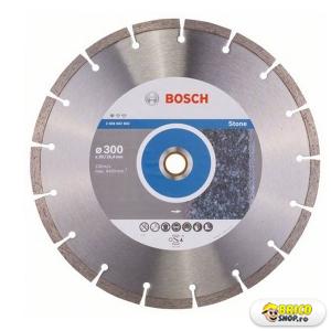Disc taiere piatra Bosch  300-20/25.4/ PROFESSIONAL  > Discuri taiere piatra