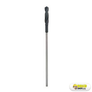 Burghiu pentru cofraje Bosch 20X100X400 mm > Burghie