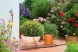 Micro set 01399-20 Gardena Sisteme de irigare