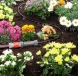 Set conducta micro-irigare de suprafata 3/16 Gardena Sisteme de irigare