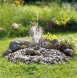 Set pompa fantana Gardena Fantani arteziene