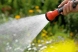 de stropit clasic Pistoale pentru stropit